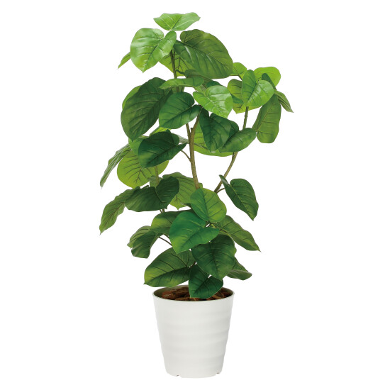 光触媒 人工観葉植物 造花 フレッシュDXウンベラータ1.3 (高さ130cm)