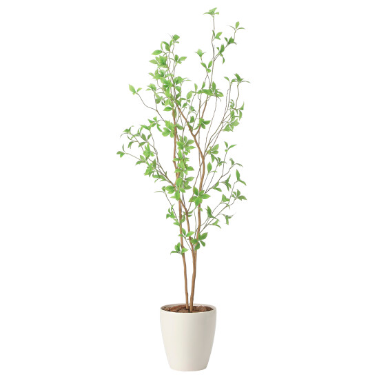 光触媒 人工観葉植物 造花 クロモジ1.6 (高さ160cm)