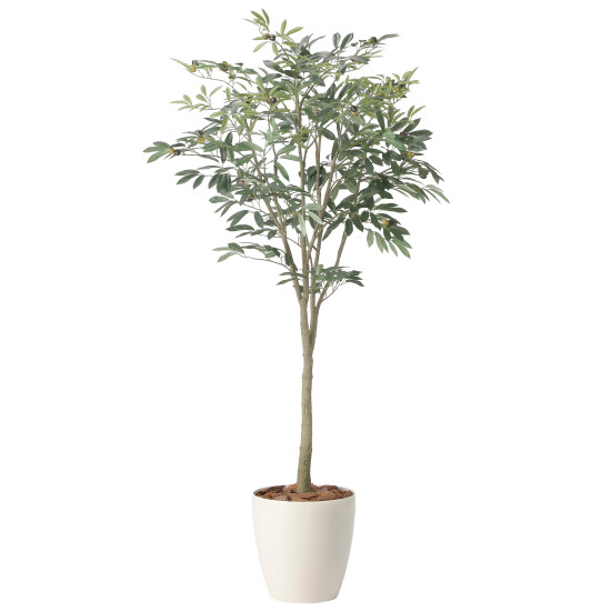 光触媒 人工観葉植物 造花 オリーブツリー1.7 (高さ170cm)