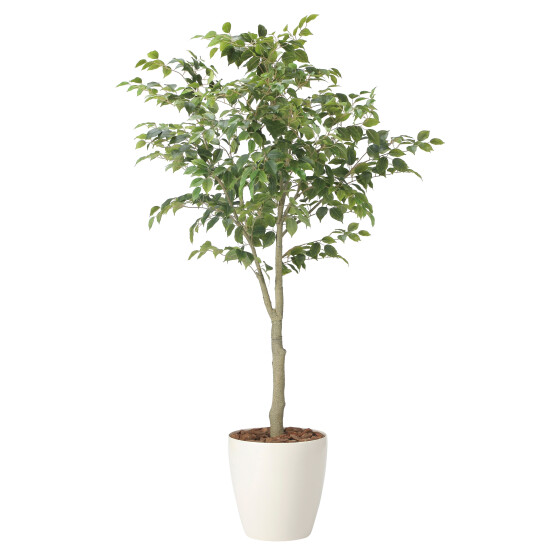 光触媒 人工観葉植物 造花 フィカスツリー1.85(組立式) (高さ185cm)