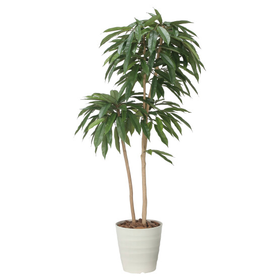 光触媒 人工観葉植物 造花 アムステルラバーキング1.6 (高さ160cm)
