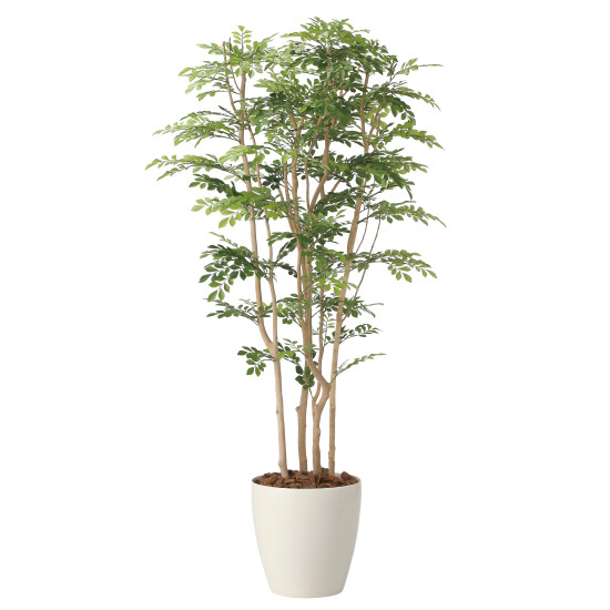 光触媒 人工観葉植物 造花 ツートントネリコ1.8 (高さ180cm)