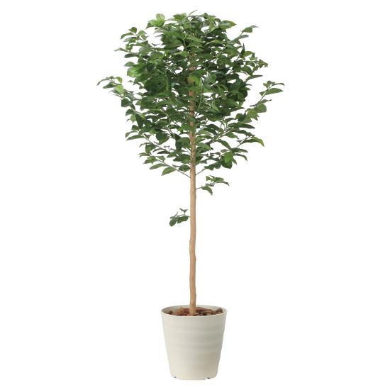 光触媒 人工観葉植物 造花 レモンツリー1.35 (高さ135cm)