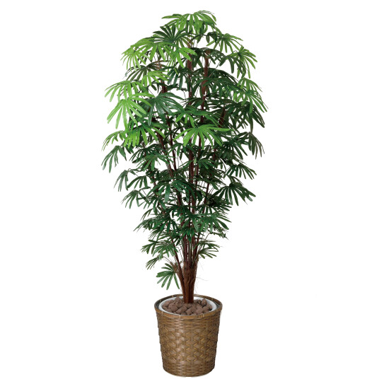 光触媒 人工観葉植物 造花 シュロチク1.8 (高さ180cm)