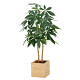 光触媒 人工観葉植物 造花 ウッドボックスパキラ1.0 (高さ100cm)