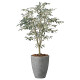 光触媒 人工観葉植物 造花 ナチュラルオリーブツリー1.5 (高さ150cm)