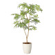 光触媒 人工観葉植物 造花 ねむの木90(ポリ製) (高さ90cm)