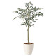 光触媒 人工観葉植物 造花 オリーブツリー1.35 (高さ135cm)